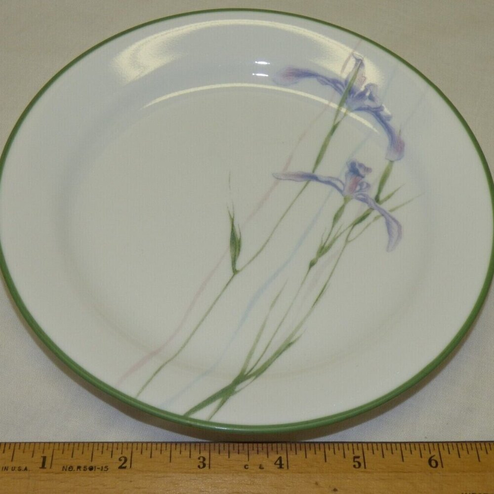 Vintage Corelle Iris Shadow Salad Plate 18 pc set. Can separate.